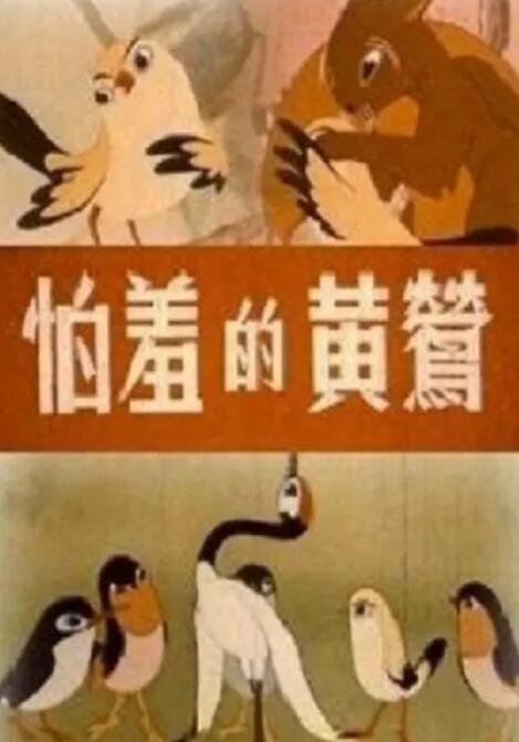 网红主播大秀