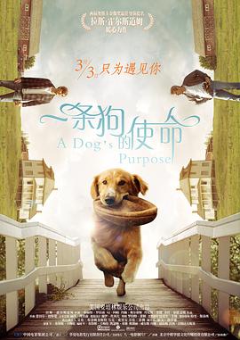 久久精品成人国产午夜