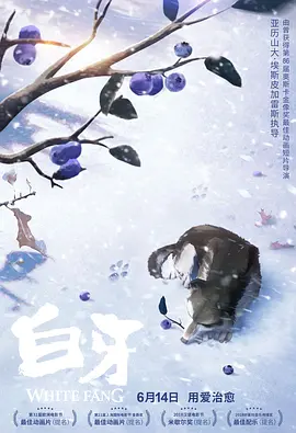 真实乱视频国产免费观看