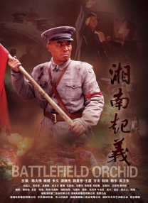 国产福利视频一区二区
