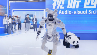 free欧美性video